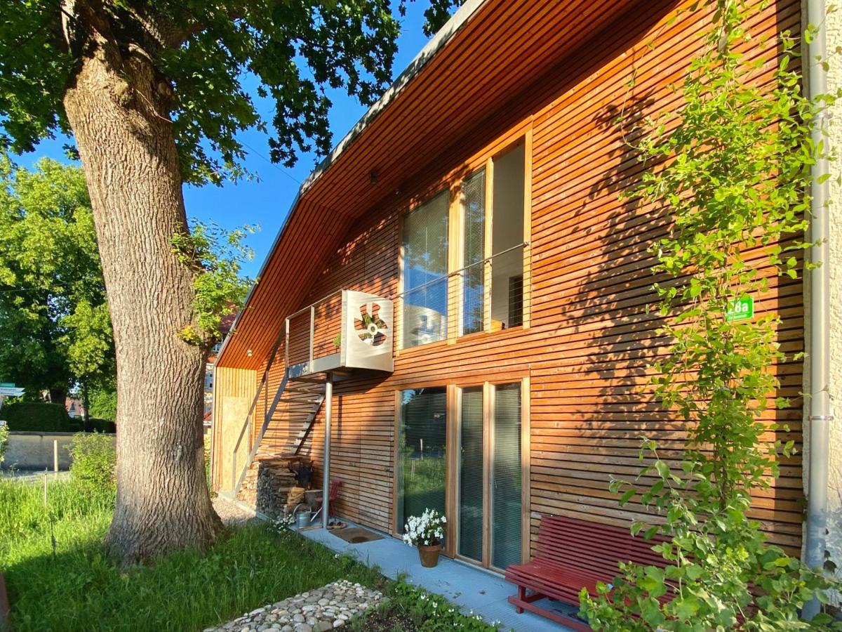 Loft Mit Dachterrasse Apartment *
